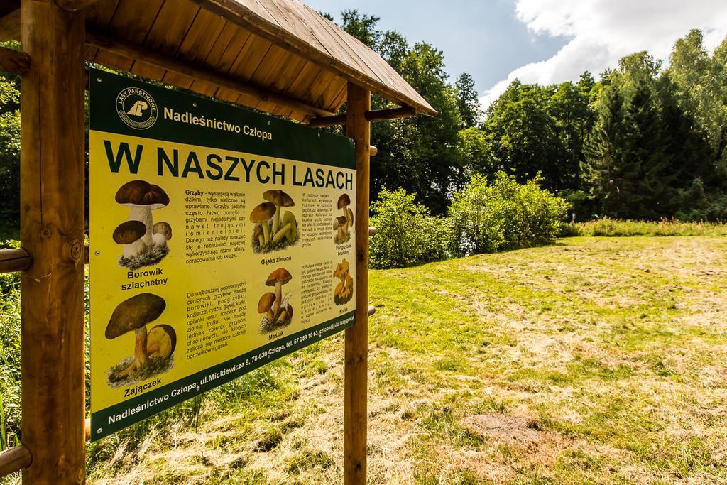 Gospodarstwo Nad Jeziorem Zalom  Eksteriør bilde